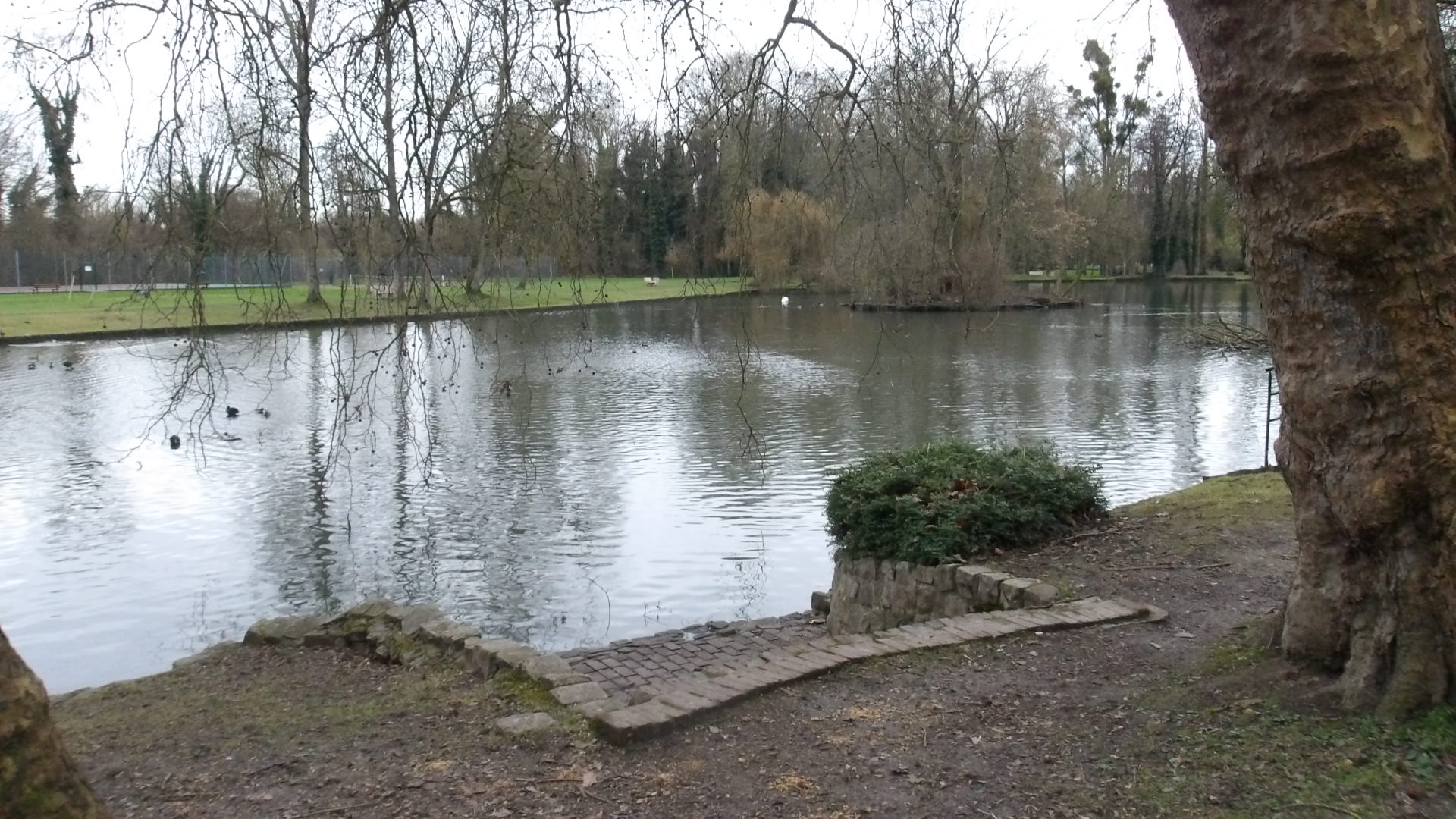 Le plan d'eau du parc Macquer