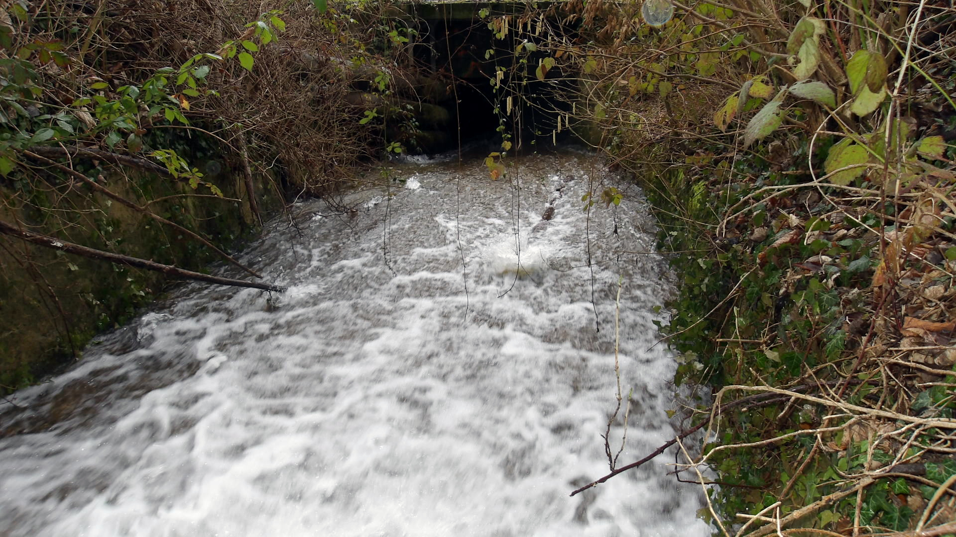 Villenoy - Le chenal — Photo AFLO - 2026