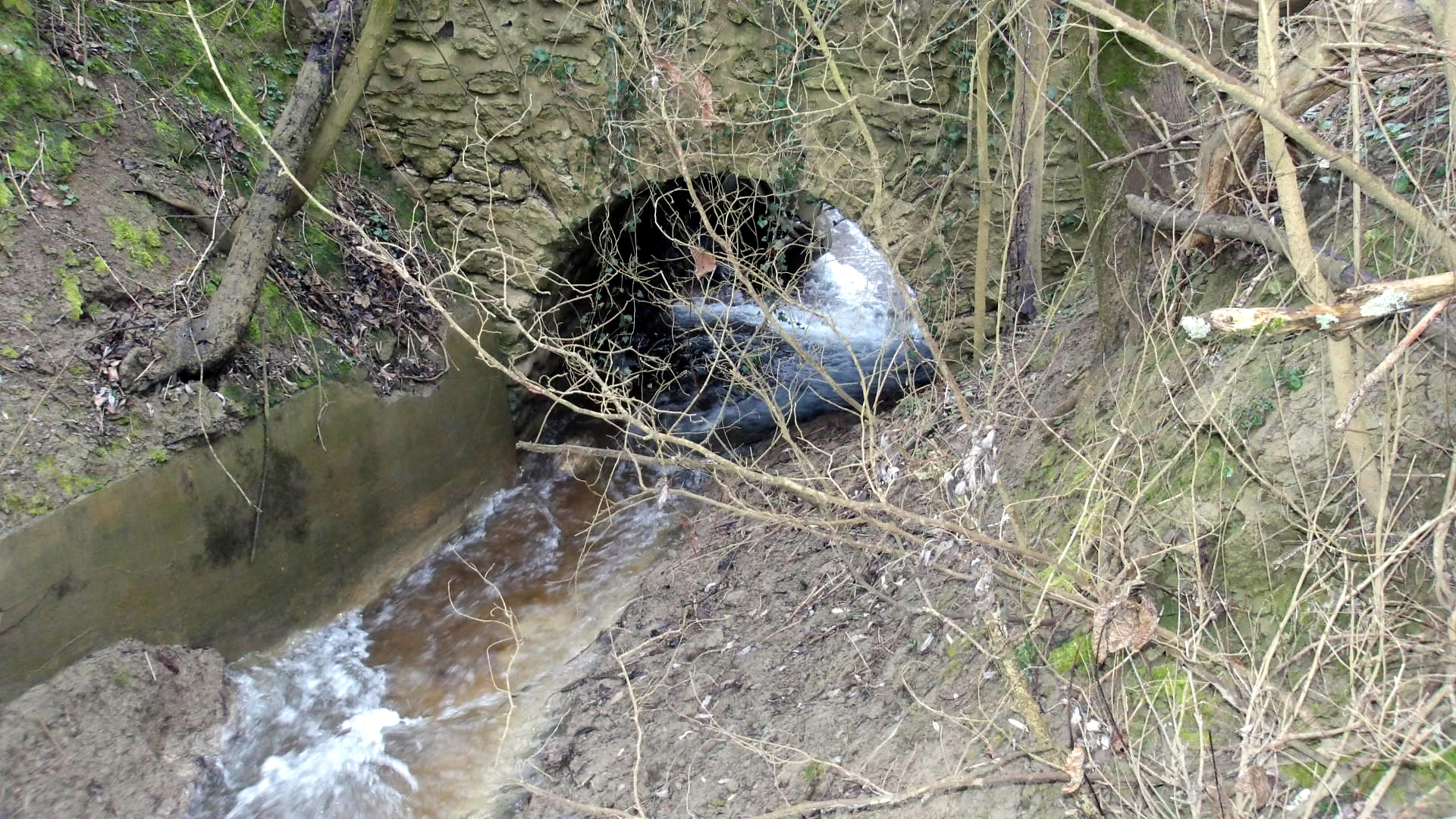 Villenoy - La sortie du tunnel sous la voie ferrée — Photo AFLO - 2026