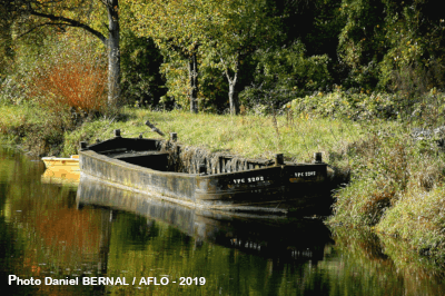 Demi-flûte | Photo Daniel BERNAL/AFLO