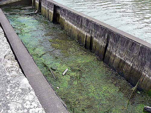 Le fond porte les traces d'un séjour dans l'eau
